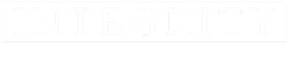 Integrity header logo